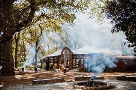 20 February 2022: Summer Sunday