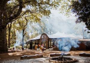 20 February 2022: Summer Sunday