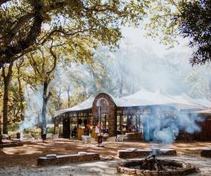 20 February 2022: Summer Sunday