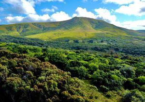 R8,500,000 | 42Ha Farm For Sale in Baardskeerdersbos