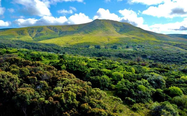 farm_view_1644389739