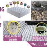 what-is-hiding - SPORGANISE - Xplorioâ„¢ Hermanus