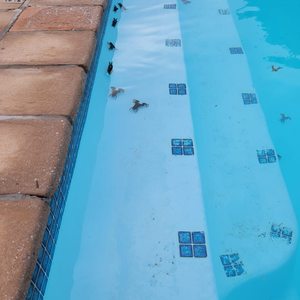 273580906_251514877156665_3375767126999275116_n_1644488153