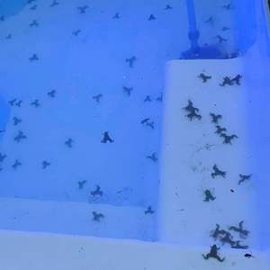 273589705_251515920489894_6110903873296419859_n_1644488152