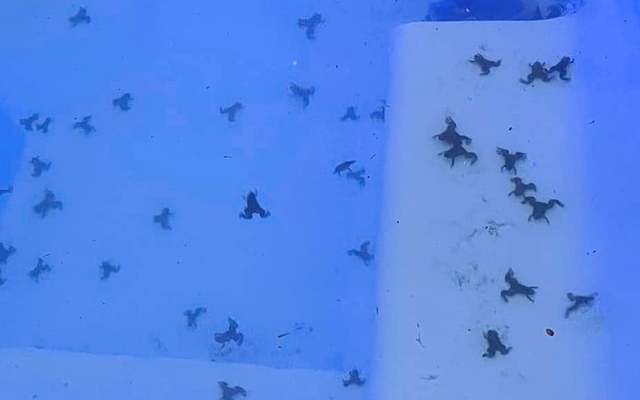 273589705_251515920489894_6110903873296419859_n_1644488152