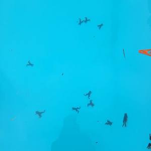 273721632_251514993823320_6833120092930949285_n_1644488154