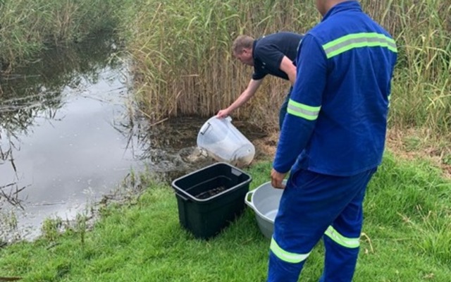 273665697_251567907151362_6094562714932332517_n_1644488271