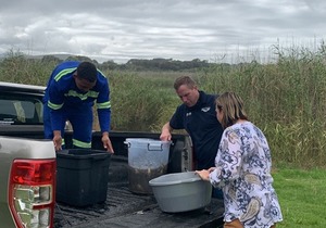 ONRUS VERMONT PLATANNA RELOCATION UPDATE 10.02.2022 @ 10:30