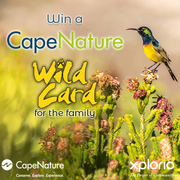 Question 3: CapeNature â€œWin a Wild Cardâ€ Competition 2022