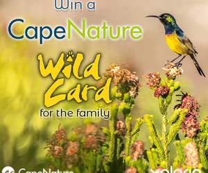 Question 3: CapeNature â€œWin a Wild Cardâ€ Competition 2022