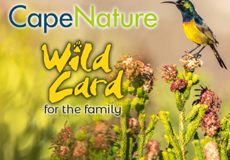 Question 3: CapeNature â€œWin a Wild Cardâ€ Competition 2022