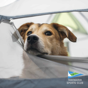 Members may bring their dogs to the club!