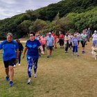 Sunset Walk - Gansbaai Tourism Bureau - Xplorioâ„¢ Gansbaai