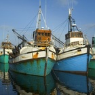 Town - Gansbaai Tourism Bureau - Xplorioâ„¢ Gansbaai