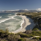Walker Bay - Gansbaai Tourism Bureau - Xplorioâ„¢ Gansbaai