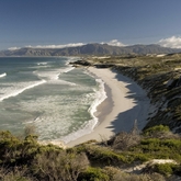 Walker Bay - Gansbaai Tourism Bureau - Xplorioâ„¢ Gansbaai