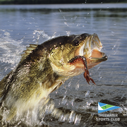 Enjoy Fishing at Theewater Sports Club!