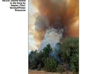 Indringers, Klimaattoestande Rede vir Napier se Megavuur