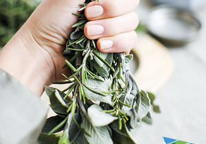 Mosquitoes can dampen an otherwise great camping experience