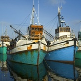 Gansbaai Video - Gansbaai Tourism Bureau -  Xplorioâ„¢ Gansbaai 