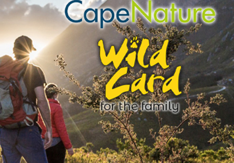 Question 4: CapeNature â€œWin a Wild Cardâ€ Competition 2022