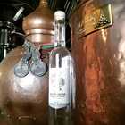 AGAVE Spirit - Jolly Rooster @ Fynbos Distillery - Xplorioâ„¢ Stanford AGAVE Spirit - Jolly Rooster @ Fynbos Distillery - Xplorioâ„¢ Stanford
