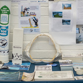 Dyer Island Section - Gansbaai Tourism Bureau - Xplorioâ„¢ Gansbaai 