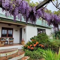 House From Garden - Foxy House - Xplorioâ„¢ Gansbaai 