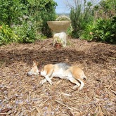 Foxy House - Xplorioâ„¢ Gansbaai 