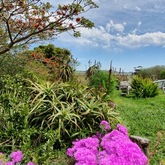 Lawn By The Dam in Spring - Foxy House - Xplorioâ„¢ Gansbaai 