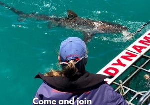 Next Marine Dynamics Shark Cage Diving Trip: 23 February 2022