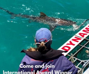 Next Marine Dynamics Shark Cage Diving Trip: 23 February 2022