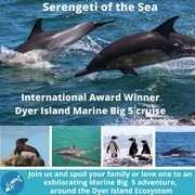 Next Dyer Island Marine Big 5 Tour: 23 February 2022