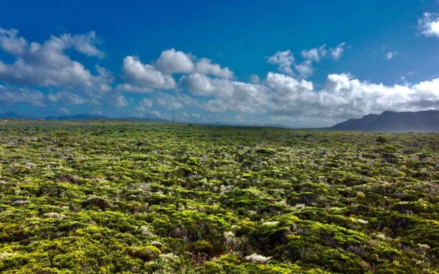 birkenhead_land_2_1645593940