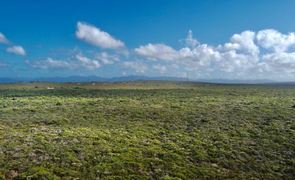 R3,600,000 | 4Ha Vacant Land For Sale in Birkenhead