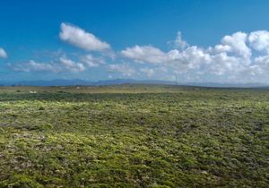 R3,600,000 | 4Ha Vacant Land For Sale in Birkenhead