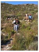 Heuningberg op saam met die Eco Rangers