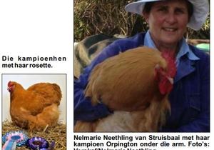 Struisbaai-Hoenders Kraai Koning by Riversdal Skou