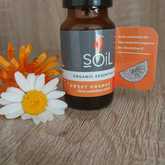 Sweet Orange Essential Oil - Mirre & Kaneel EssensiÃ«le Olies / Essential Oils - Xplorioâ„¢ Kleinmond