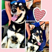 Prinses and OortjiesÂ - Ready to be Adopted