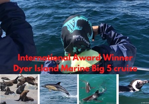Next Dyer Island Marine Big 5 Tour: 9 March 2022