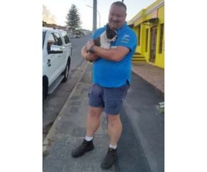 Elke hond kry sy dag, diÃ© brak byna â€™n naweek