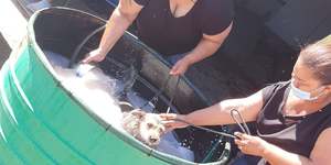 275678874_326185602876429_9193706070004840518_n_1646989572