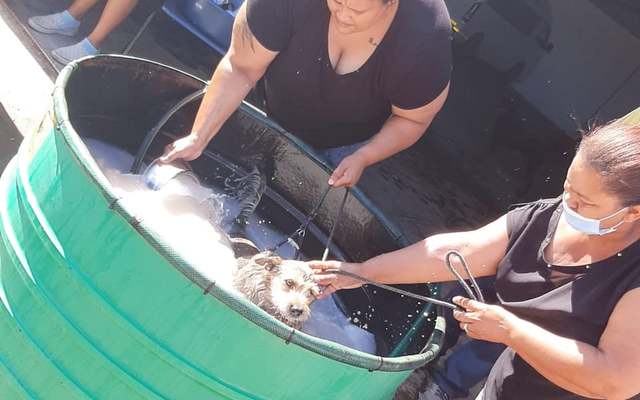 275678874_326185602876429_9193706070004840518_n_1646989572