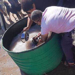 275724175_326185416209781_2738548842623988508_n_1646989571