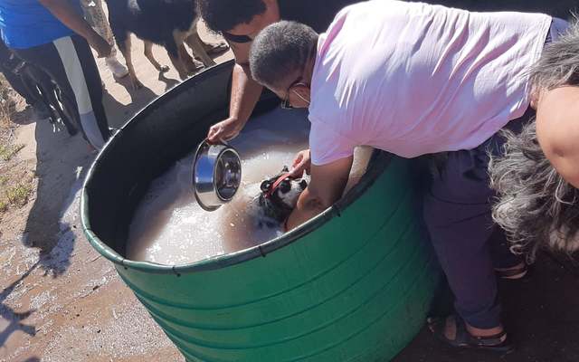 275724175_326185416209781_2738548842623988508_n_1646989571