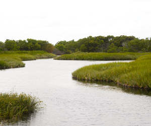 Nuwejaars River near Elim