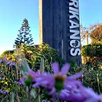 Signage - Afrikanos - Xplorioâ„¢ Gansbaai 