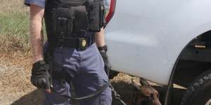 275796608_276381434670009_7053666085375433942_n_1647340890