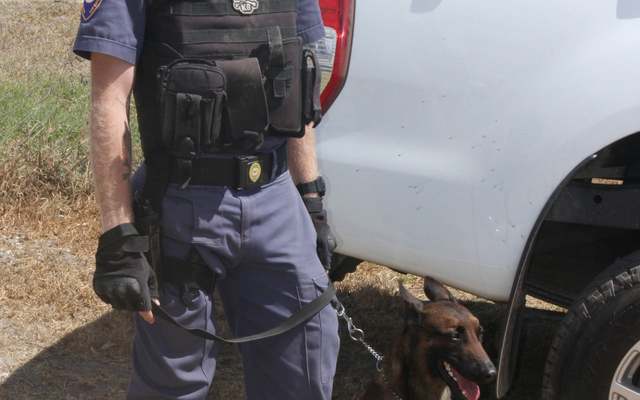 275796608_276381434670009_7053666085375433942_n_1647340890